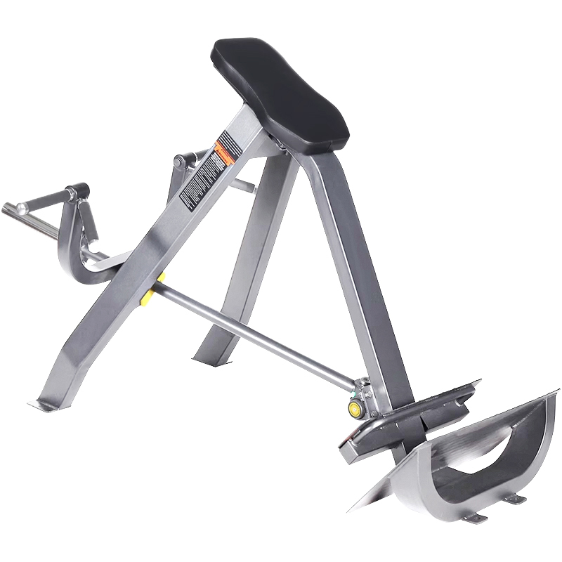 Rowing machine Horizontal pull - đánh giá và giá Vertical Leg Press