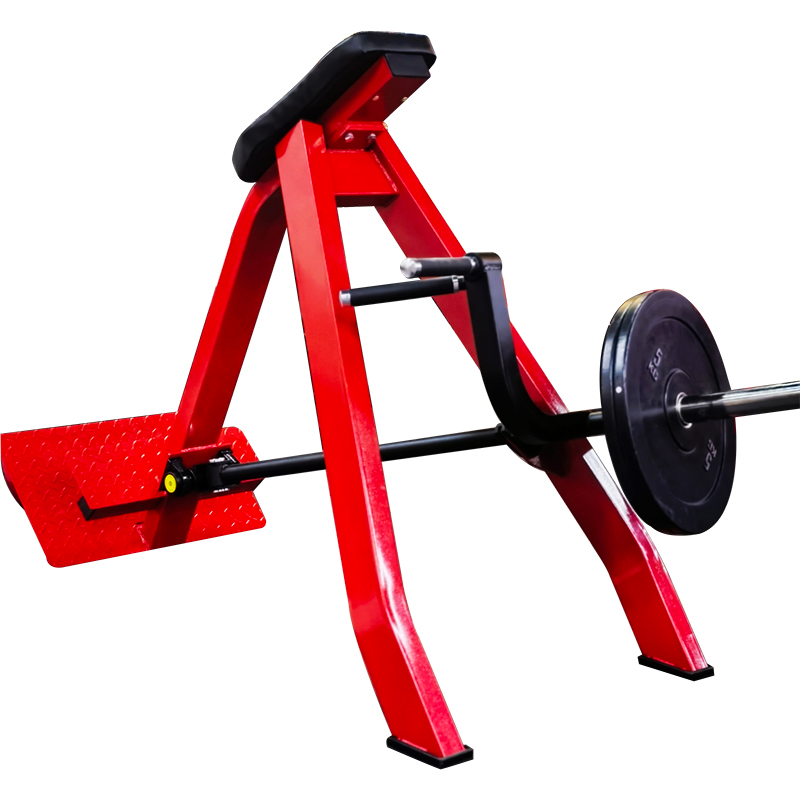 Rowing machine Horizontal pull - đánh giá và giá Vertical Leg Press