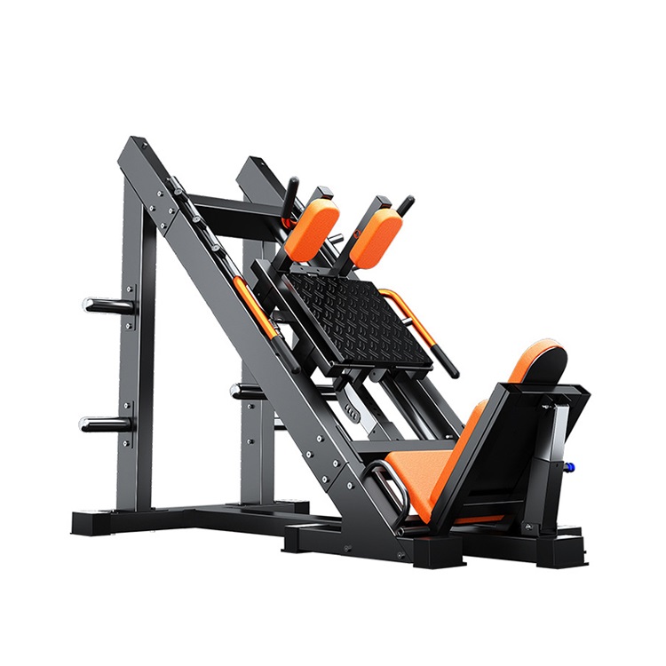 Multi-Function Full Body Exerc - đánh giá và giá Vertical Leg Press